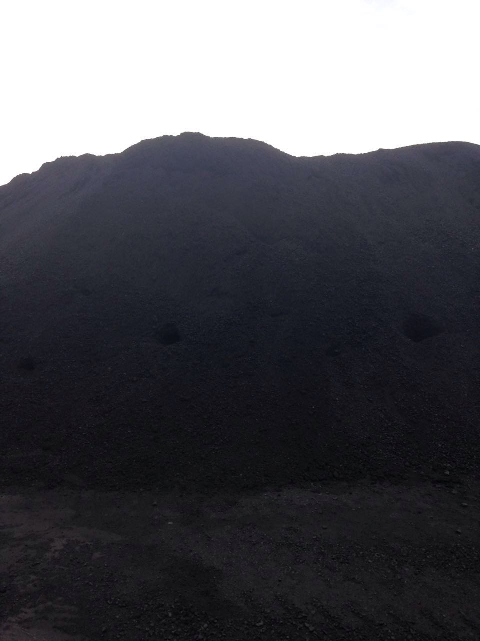 高硫肥煤
